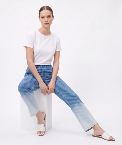 The Faded Stripe Lyocell Pant